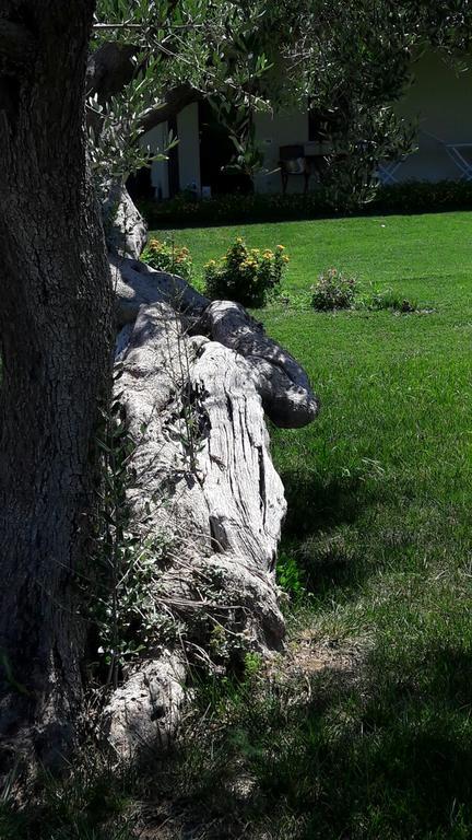 Tenuta Cavalieri Leverano Zewnętrze zdjęcie